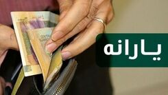 افزایش یارانه ها از آذرماه/دولت رئیسی چقدر یارانه می دهد؟
