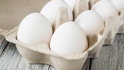 سقوط قیمت تخم مرغ به زیر نرخ مصوب | دلیل کاهش قیمت تخم مرغ چیست؟