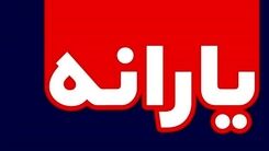 سبد کالا بجای یارانه نقدی/چه افرادی به جای یارانه جدید سبد کالا می گیرند؟ 