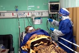 وزیر بهداشت: ۲ تا ۳ هفته آینده به پیک ششم خواهیم رسید