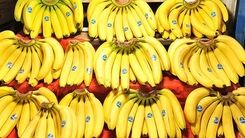 قیمت موز در بازار!