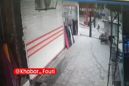 حمله وحشتناک «گرگ» به شهروندان در کرمانشاه! +فیلم