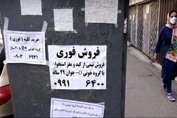 کلیه فروشی در ازای خرید پراید برای مسافرکشی!/دلال‌ها در بازار کلیه ؟