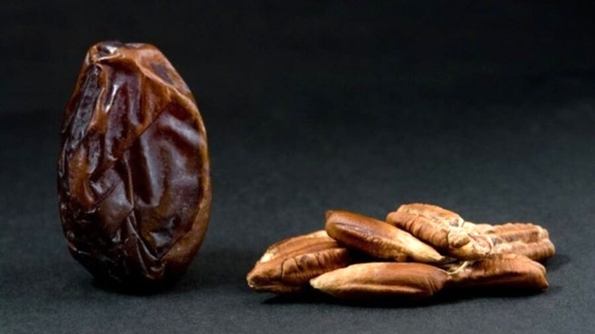 یک دستورالعمل لاغری با هسته خرما