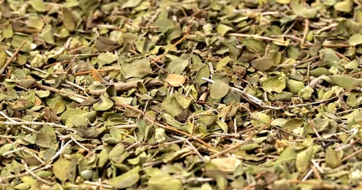 آویشن برای چه افرادی خطرناک است؟