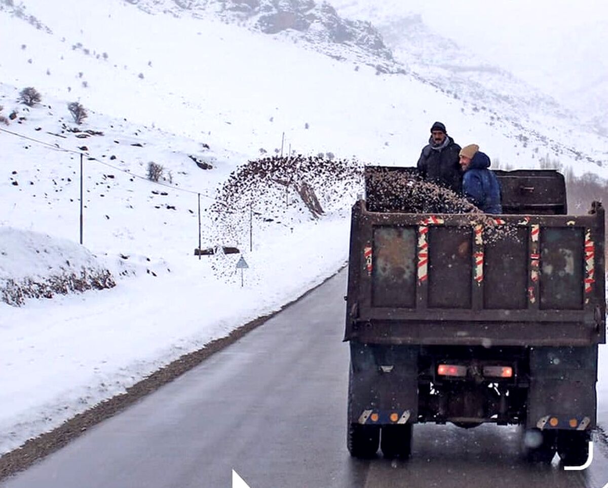 هشدار جدی برای مسافران | بارش باران و برف شدید این جاده ها را مسدود کرد 