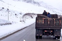هشدار وقوع سیل در ۲۳ استان | کولاک برف در این استان ها