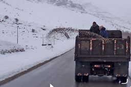 هشدار وقوع سیل در ۲۳ استان | کولاک برف در این استان ها