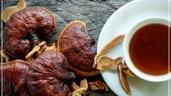 قهوه گانودرما موثر در کاهش استرس