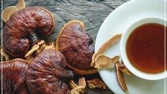قهوه گانودرما موثر در کاهش استرس
