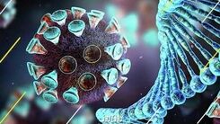 نوع دوم اومیکرون هم شناسایی شد