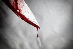 راز قتل وحشتناک پسر نوجوان در یک گروگان گیری