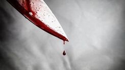دختر 2 ساله و مادرش به قتل رسیدند / قاتل کیست؟