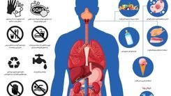 علائم وبا، راه های انتقال و پیشگیری