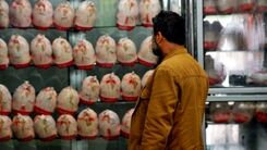 قیمت جدید مرغ در بازار | کمبود مرغ صحت دارد؟
