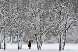 بارش باران و برف در تهران تا کی ادامه دارد ؟ | هوا این آخرهفته سردتر می شود