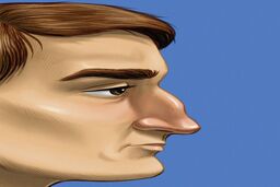 شخصیت شناسی | فرم بینی تان درباره شخصیت شما چه می گوید؟