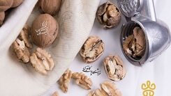 رابطه گردو و کبد چرب؛ مفید یا مضر؟