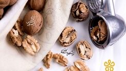رابطه گردو و کبد چرب؛ مفید یا مضر؟