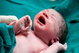 زنده شدن نوزاد مرده در غسالخانه + جزئیات 