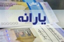 همه چیز در مورد یارانه ۳۰۰ و ۴۰۰هزار تومانی/کدام گروه از جاماندگان یارانه می گیرند؟