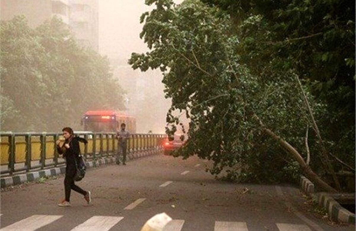 خبر مهم هواشناسی برای تهرانی ها | وزش باد شدید و خیزش گرد و خاک در این مناطق تهران