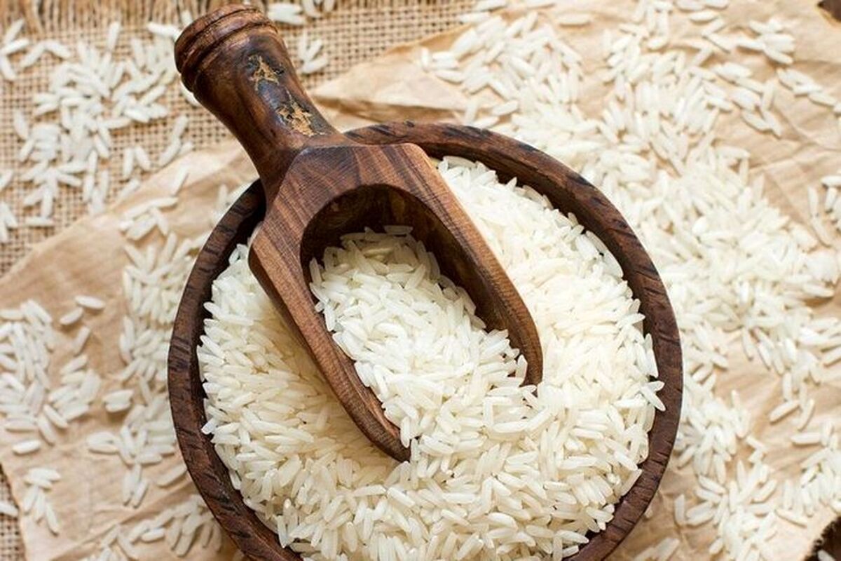 جدیدترین قیمت برنج در بازار | تفاوت قیمت برنج ایرانی و خارجی چقدر است ؟ 