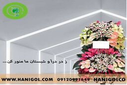 تاج گل چیست ؟