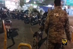 حضور سگ‌های بمب‌یاب در خیابان‌های قم +فیلم