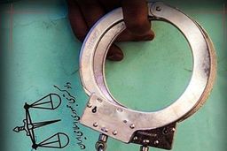 بازداشت ۱۲۰ ‌گردشگر‌ هنجارشکن در جنگل‌های نکا