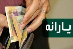 واریز یارانه معیشتی 99/چگونه یارانه معیشتی دریافت کنیم؟