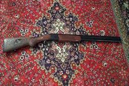 ماجرای کشف ۴۵۰ اسلحه جنگی در لرستان!