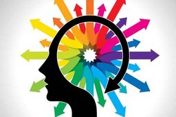 شما چه تیپ شخصیتی دارید؟+تست روانشناسی 