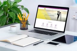 طراحی سایت حرفه ای و راهکار طراحی سایت فروشگاهی