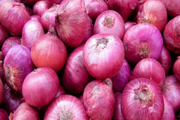 آخرین قیمت پیاز در بازار | پیاز کی ارزان می شود ؟