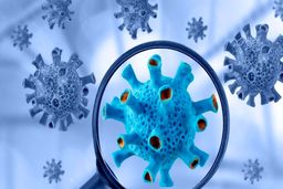 افرادی که باید بیشتر مراقب اومیکرون باشند