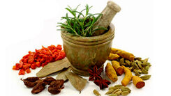 راهکار طب سنتی برای جنگ با امیکرون 