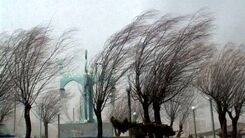 هشدار وزش باد شدید در تهران | مراقب درختان و بناهای سست باشید