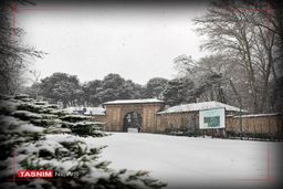 تهران هم برفی شد +عکس