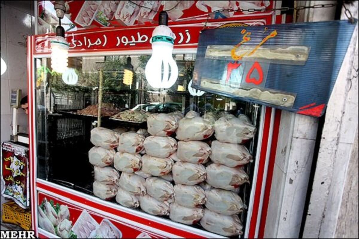 قیمت جدید مرغ | بازار عجیب مرغ خریدار نیست 