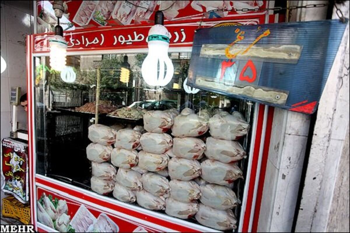 قیمت مرغ امروز 28 آبان نجومی شد | مرغ را کیلویی چند بخریم ؟