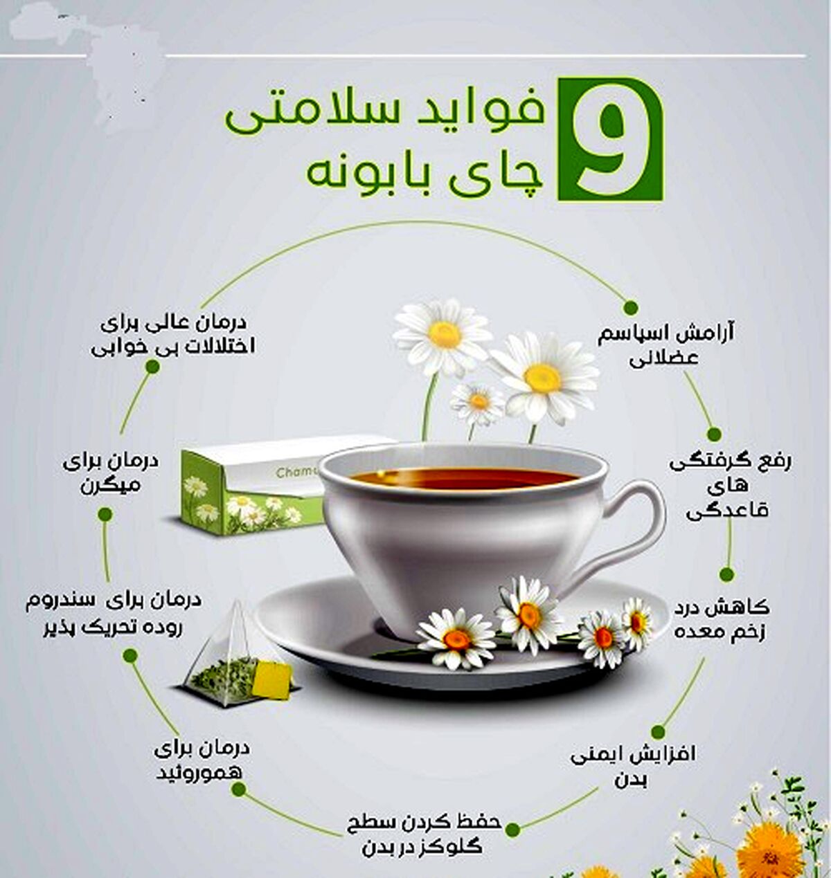 فوایدچای بابونه برای سلامتی+اینفوگرافی