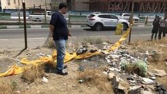ماجرای دو سر بریده در خیابان شیخ‌بهایی تهران | دو قتل هولناک در تهران مردی عروس و پسرش را کشت + عکس