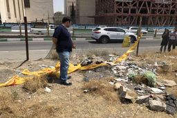 ماجرای دو سر بریده در خیابان شیخ‌بهایی تهران | دو قتل هولناک در تهران مردی عروس و پسرش را کشت + عکس