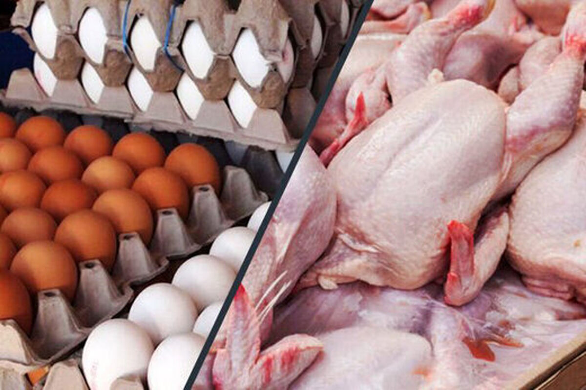 آخرین قیمت مرغ و تخم مرغ در بازار | هر کیلو مرغ و یک شانه تخم مرغ چند شد؟