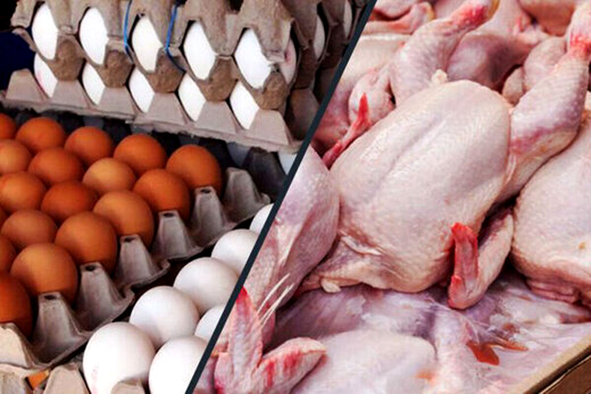 آخرین قیمت مرغ و تخم مرغ در بازار | هر کیلو مرغ و یک شانه تخم مرغ چند شد؟