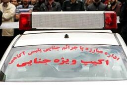 سناریوی وحشتناک در حوالی میدان آزادی | کشف جسد مثله شده‌ زن جوان در یک ساک ورزشی! 