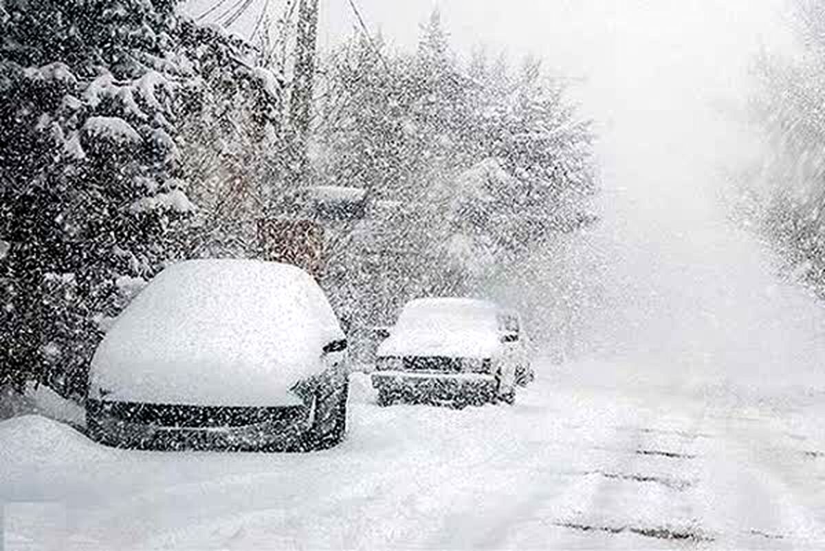 بارش نیم متری برف در شمال تهران