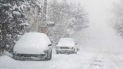 بارش نیم متری برف در شمال تهران