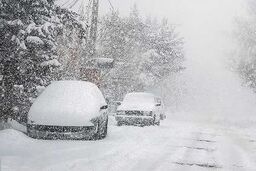 بارش نیم متری برف در شمال تهران